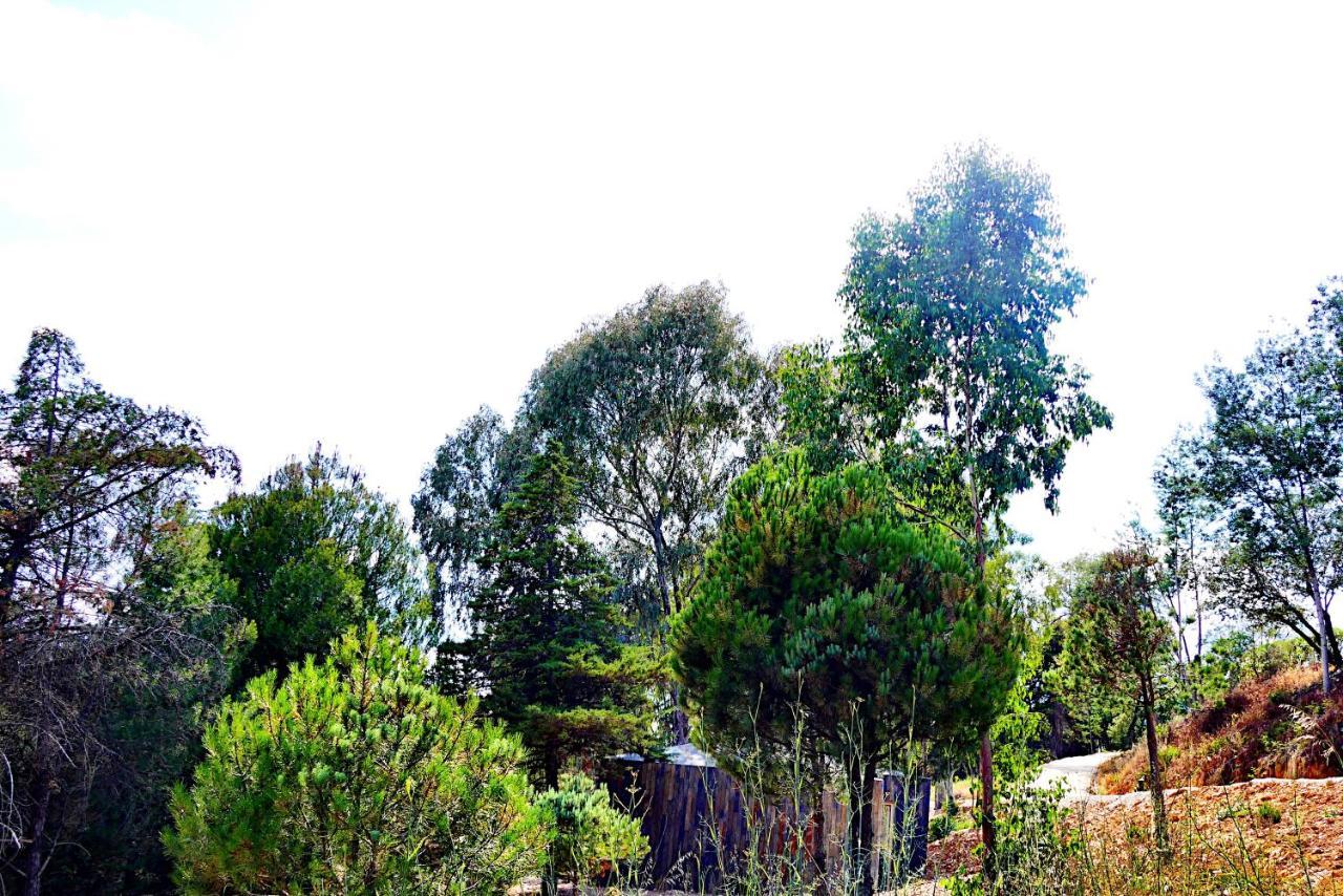 Herdade Clube Tiro Monfortinho Exterior photo